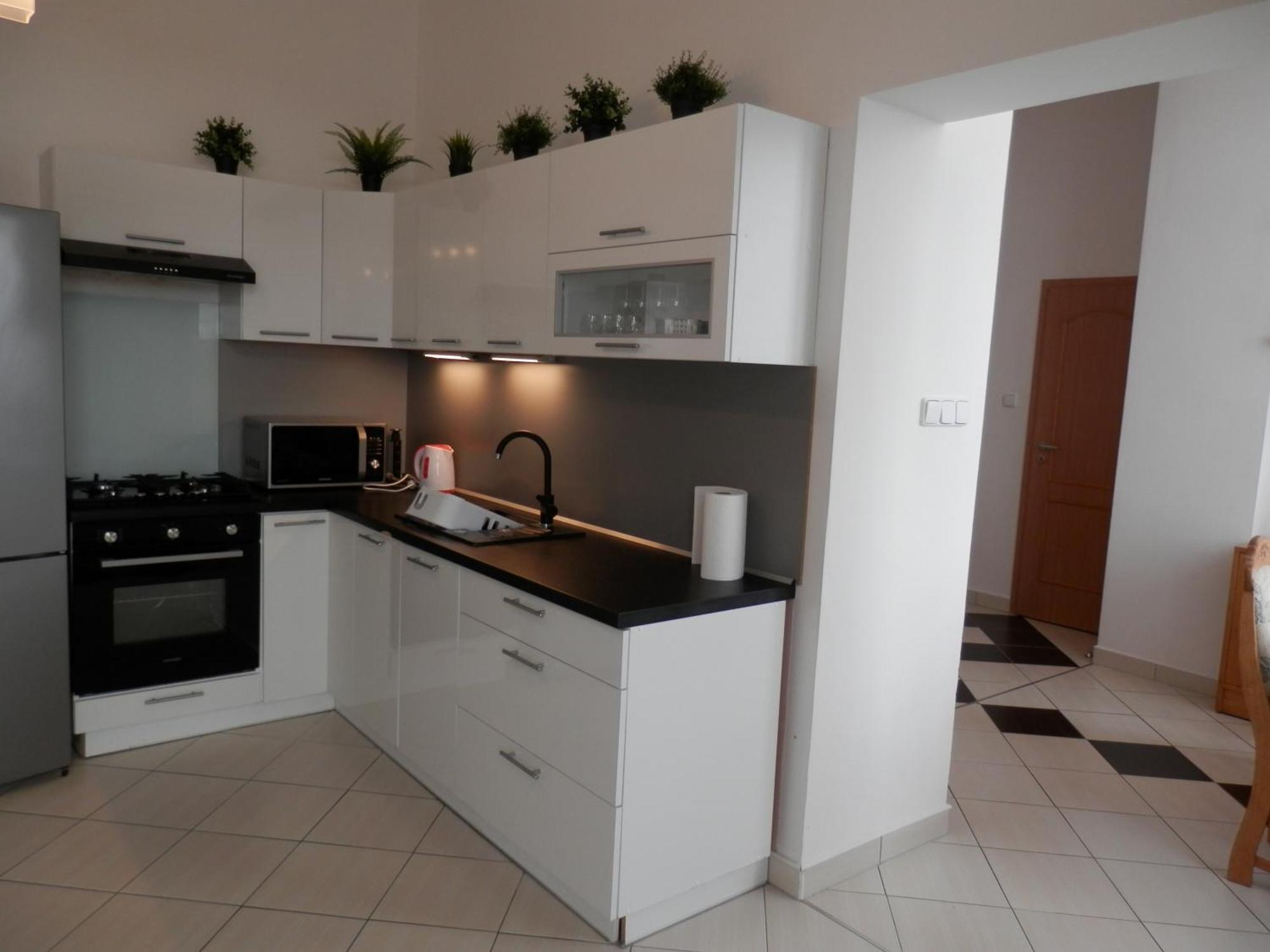 Spacious Apartment Below Spilberk Castle 브르노 외부 사진